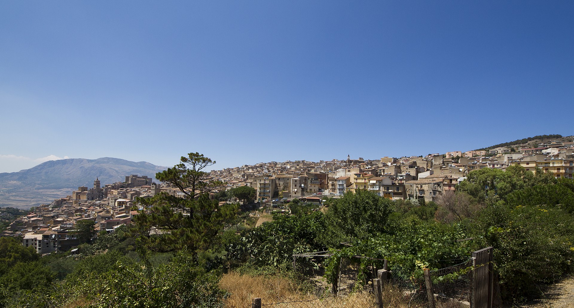 Caccamo